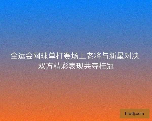 全运会网球单打赛场上老将与新星对决 双方精彩表现共夺桂冠